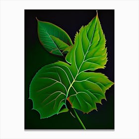 Snakeroot Leaf Vibrant Inspired 1 Canvas Print