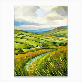 Irish Countryside Canvas Print