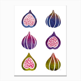 Figs Canvas Print