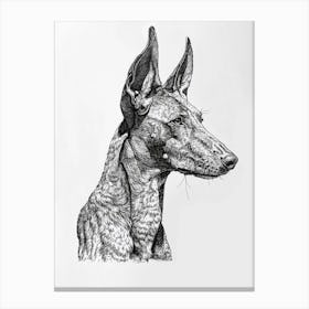 Ibizan Hound Dog Line Sketch  3 Canvas Print
