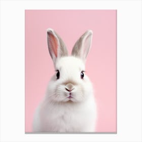 White Rabbit On Pink Background Canvas Print