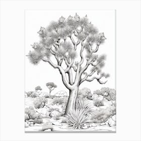  Detailed Drawing Of A Joshua Tree In The Style Of Jam 1 Canvas Print