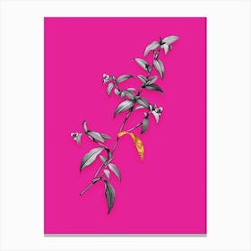 Vintage Birdbill Dayflower Black and White Gold Leaf Floral Art on Hot Pink n.0592 Canvas Print