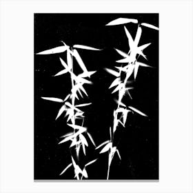 Black white bamboo Canvas Print