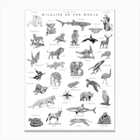Wildlife Of The World - Animal Art Print Canvas Print
