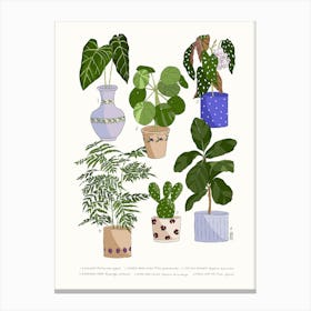 Houseplants 1 Canvas Print