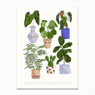 Houseplants 1 Canvas Print