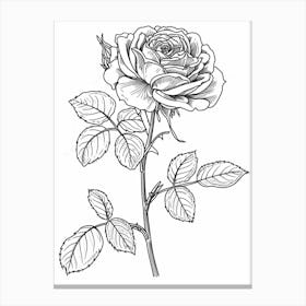 Roses Sketch 43 Canvas Print