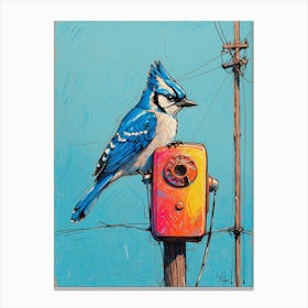 Blue Jay 7 Canvas Print