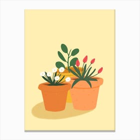 Garden Plants Canvas Print