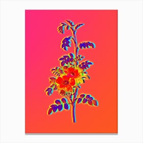 Neon Alpine Rose Botanical in Hot Pink and Electric Blue n.0160 Canvas Print