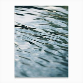 Water Ripples 3 Canvas Print