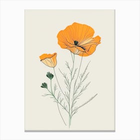 California Poppy Spices And Herbs Minimal Line Drawing 1 Canvas Print