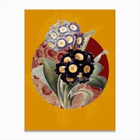 Vintage Botanical Mountain Cowslip on Circle Red on Yellow n.0042 Canvas Print
