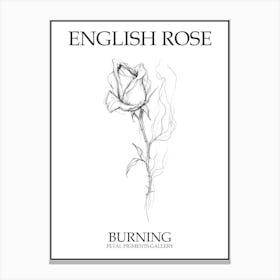 English Rose Burning Line Drawing 3 Poster Canvas Print