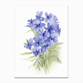 Wild Blue Phlox Wildflower Watercolour 1 Canvas Print