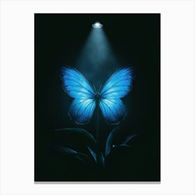 Butterfly In The Dark Canvas Print