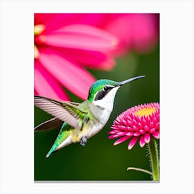 Female Ruby Throated Hummingbird -Reimagined 6 Canvas Print