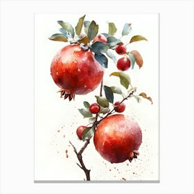 Watercolor Pomegranate Canvas Print