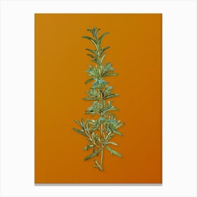 Vintage Rosemary Botanical on Sunset Orange n.0238 Canvas Print
