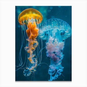 Jellyfishes Canvas Print