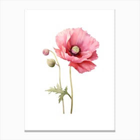 Watercolor Poppy Flower 2 Canvas Print