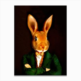 Buster The Magician Rabbit Pet Portraits Canvas Print