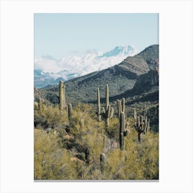 Snowy Four Peaks Mountains Canvas Print