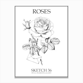 Roses Sketch 36 Poster Canvas Print