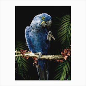 Blue Macaw Parrot Canvas Print