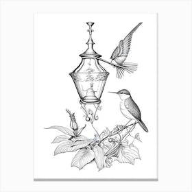Hummingbird And Hummingbird Feeder Vintage Botanical Line Drawing Canvas Print