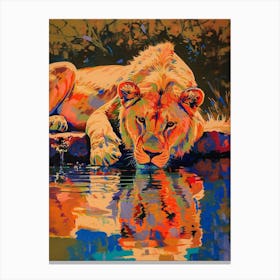 Asiatic Lion Drinking From A Watering Hole Fauvist Painting 3 Canvas Print