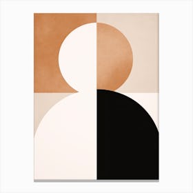 Mid Century 241 Canvas Print