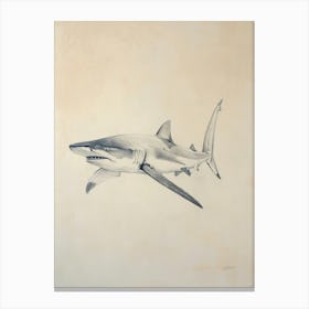 Vintage Smooth Hammerhead Shark Pencil Illustration 2 Canvas Print