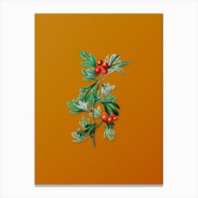 Vintage Morocco Hawthorn Flower Botanical on Sunset Orange n.0070 Canvas Print