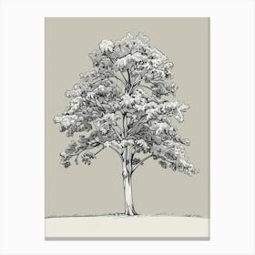 Chestnut Tree Minimalistic Drawing 1 Canvas Print