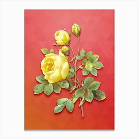Vintage Yellow Rose Botanical Art on Fiery Red n.1154 Canvas Print
