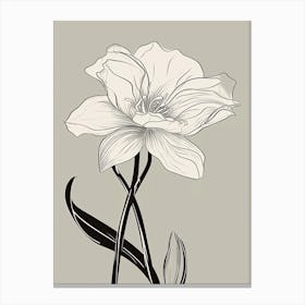 Daffodils Line Art Flowers Illustration Neutral 11 Canvas Print