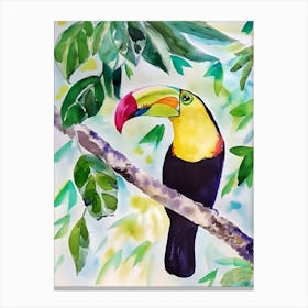 Toucan 6 Canvas Print