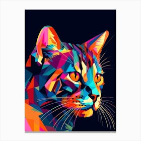 Colorful Cat 1 Canvas Print