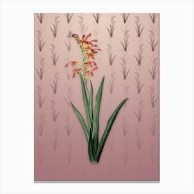 Vintage Antholyza Aethiopica Botanical on Dusty Pink Pattern n.0365 Canvas Print