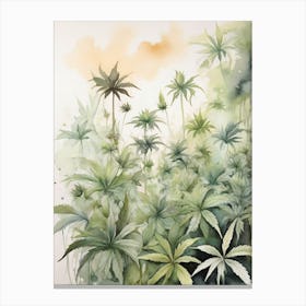 Marijuana Plants Canvas Print