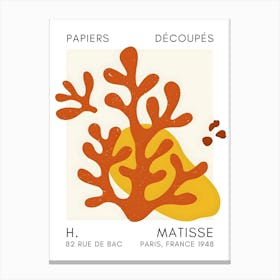 H Matisse 17 Canvas Print