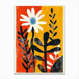 Namaqualand Daisy Groovy 21 Canvas Print