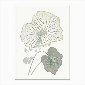 Nasturtium Herb William Morris Inspired Line Drawing 2 Canvas Print