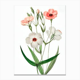 Watercolor Flowers 24 Canvas Print