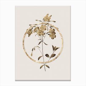 Gold Ring Phlox Glitter Botanical Illustration n.0086 Canvas Print