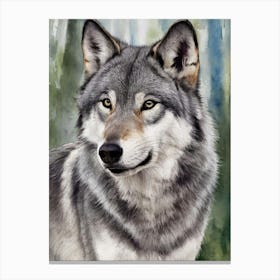 Gray Wolf Canvas Print