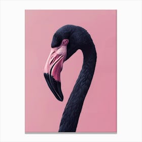 Flamingo 3 Canvas Print