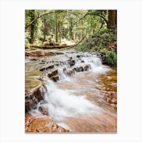 Forest Waterfall 1 Canvas Print